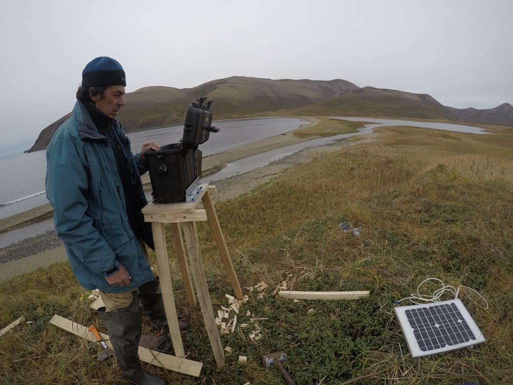 The Commander Islands Reserve Researchers to Collect Data on the Emperor Goose with Trail Cameras